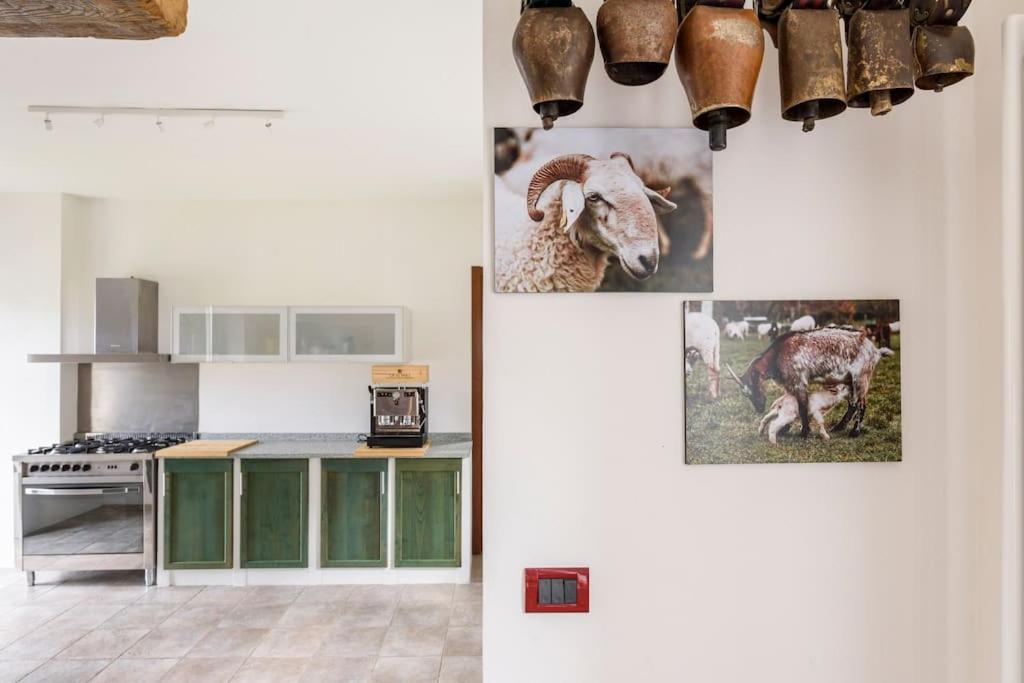 Agriturismo La Margherita San Giorgio Scarampi Exteriér fotografie